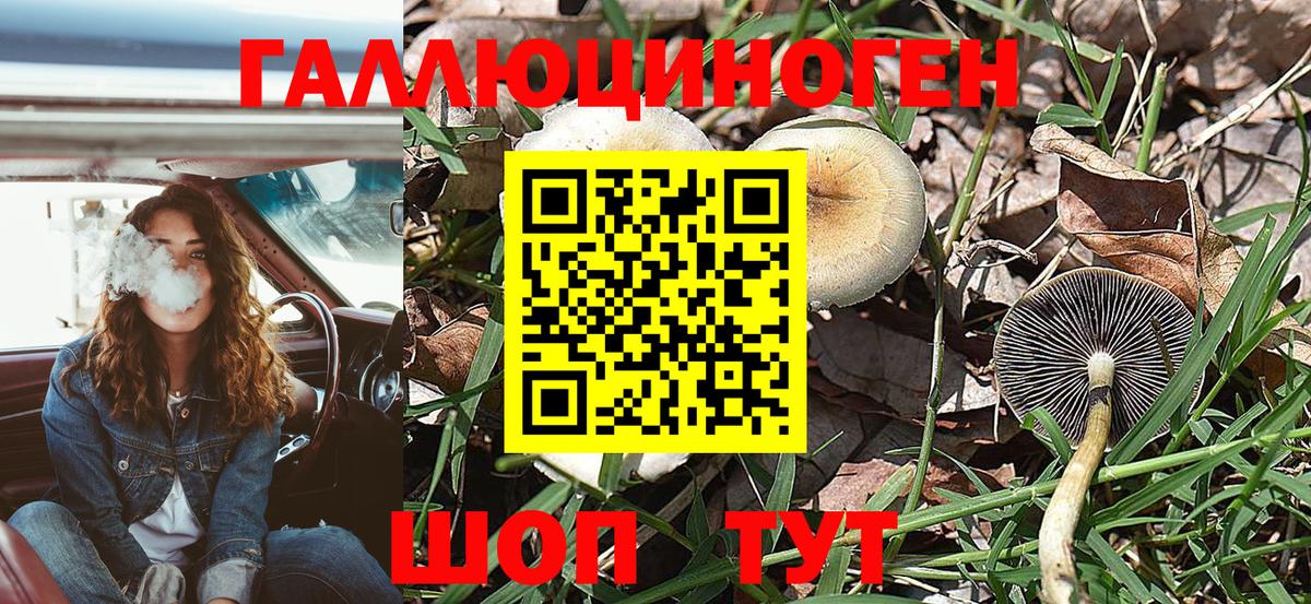 Псилоцибиновые грибы мухоморы  Вход с VPN  Шадринск 